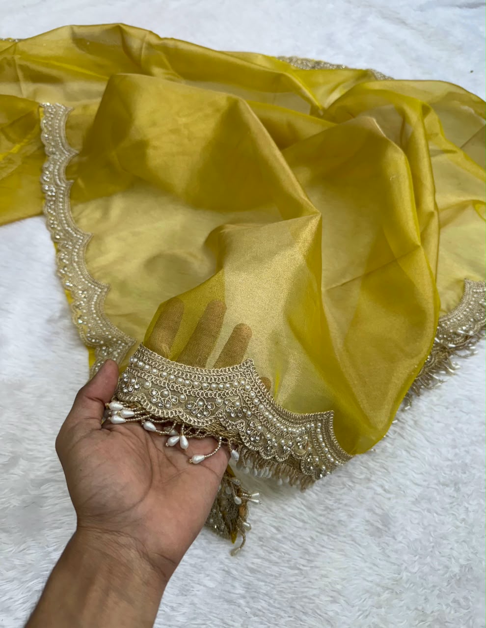 Elegant Scalloped Border Tissue Saree