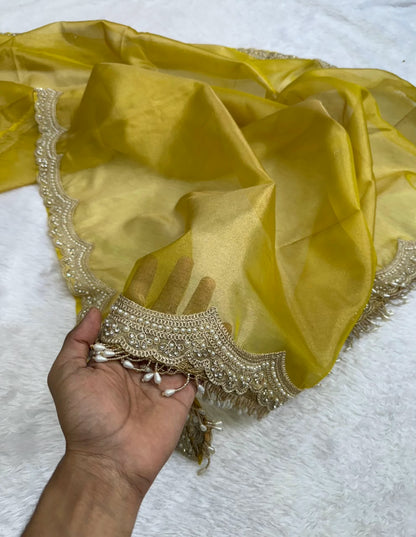 Elegant Scalloped Border Tissue Saree