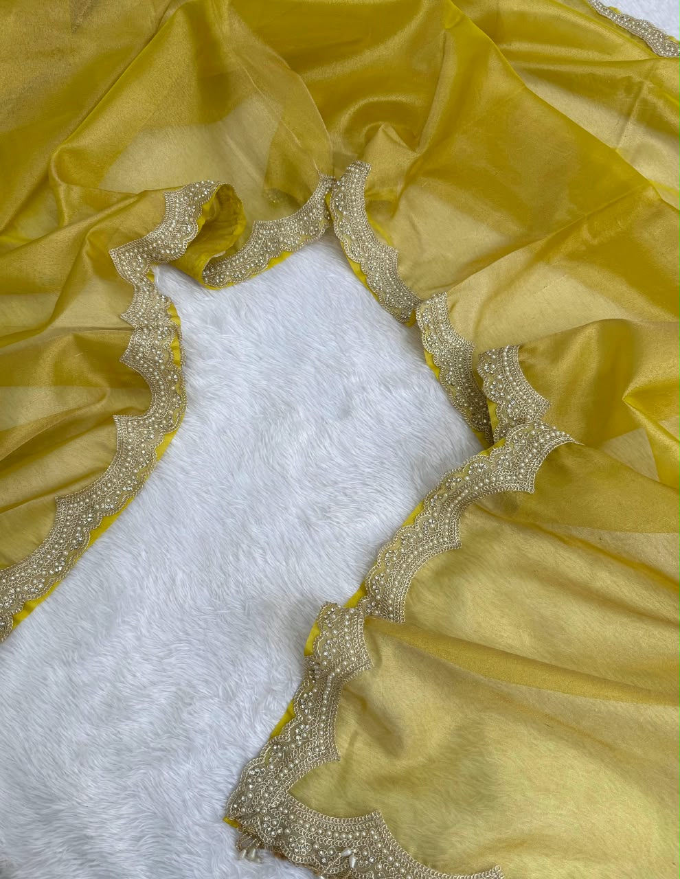 Elegant Scalloped Border Tissue Saree
