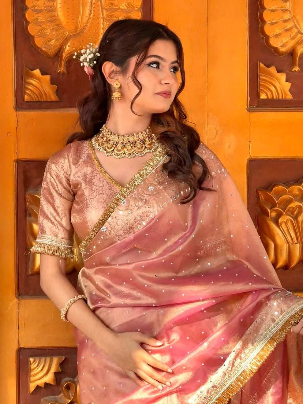 Blush Pink Premium Tissue Saree