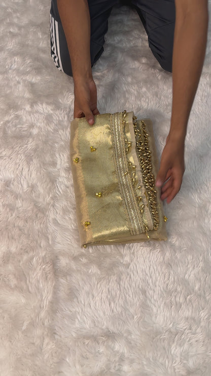 Silver & Ivory Banarasi Glass Tissue Gungroo Saree